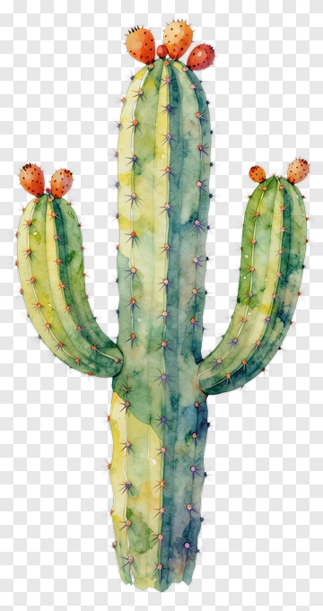 Colorful Cactus With Fruits PNG