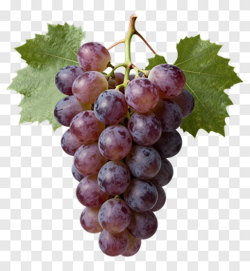 Bunch Of Purple Grapes With Green Leaves PNG