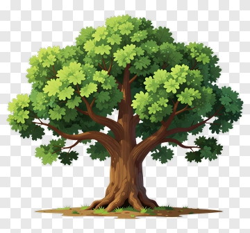 Colorful Tree PNG