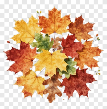 Colorful Autumn Leaves PNG