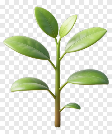 Green Plant With Leaves PNG