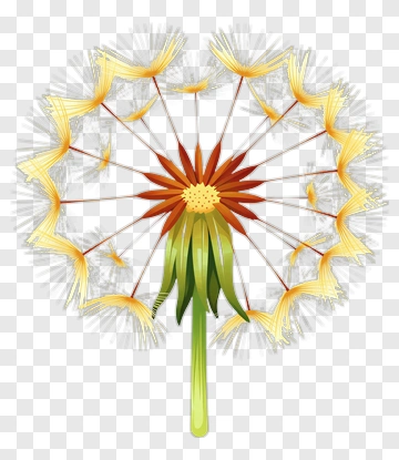 Colorful Dandelion Flower PNG