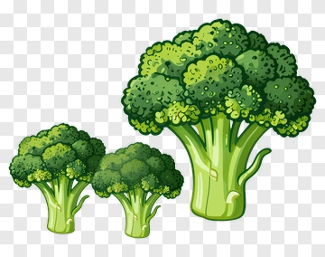 Cartoon Broccoli Bunches PNG