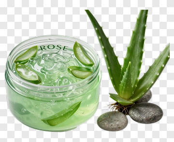 Aloe Vera Gel With Rose And Stones PNG