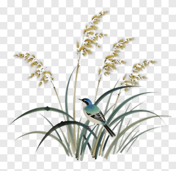 Bird Sitting Among Grasses PNG