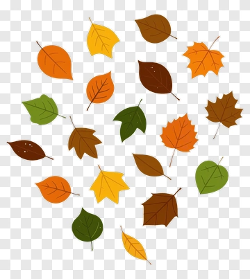 Colorful Autumn Leaves PNG