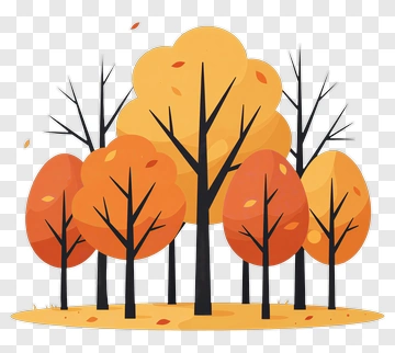 Colorful Autumn Trees In A Forest PNG