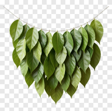 Green Leaf Garland PNG