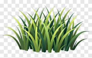 Green Grass PNG