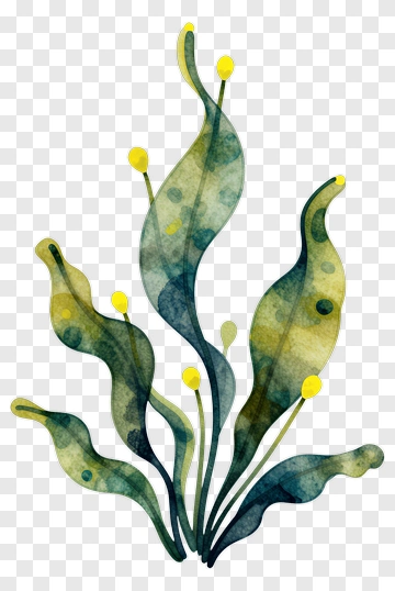 Watercolor Plant With Yellow Buds PNG