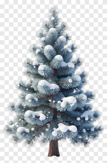 Snowy Pine Tree PNG