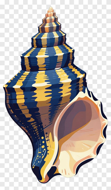 Colorful Seashell PNG