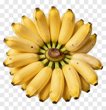 Banana Bunch Arrangement PNG