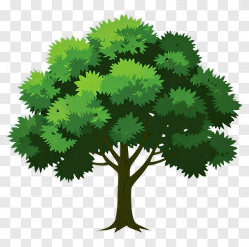 Colorful Tree PNG