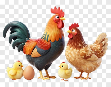 Cartoon Family Of Chickens With Egg And Chicks PNG