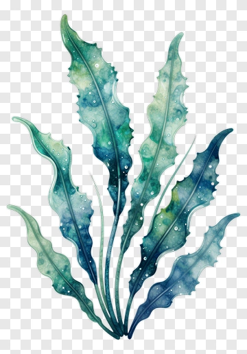 Watercolor Seaweed PNG