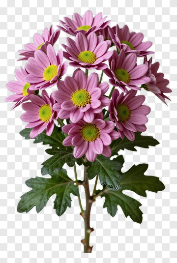 Pink Flower Bouquet PNG