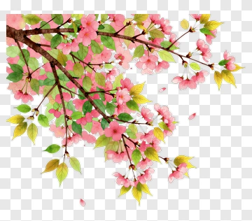 Watercolor Cherry Blossom Branch PNG