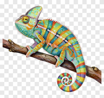 Colorful Chameleon On A Branch PNG