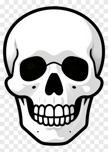 Cartoon Skull PNG
