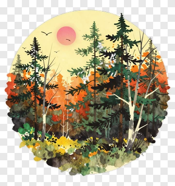 Autumn Forest With Rising Sun PNG
