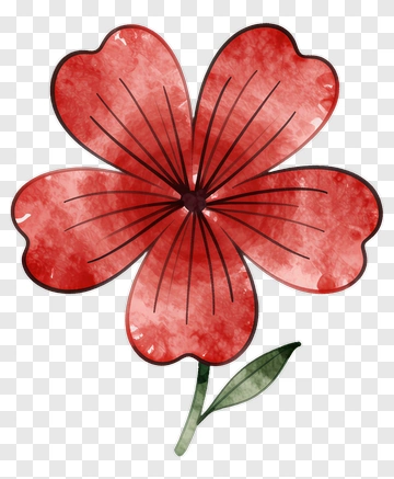 Red Watercolor Flower PNG