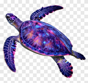 Colorful 3D Turtle With Cosmic Design PNG