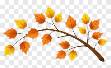 Colorful Autumn Tree Branch PNG