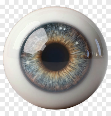 Realistic Human Eye PNG