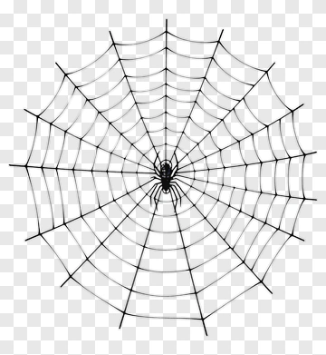 Spider On A Web PNG