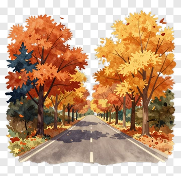 Autumn Road Surrounded By Colorful Trees PNG