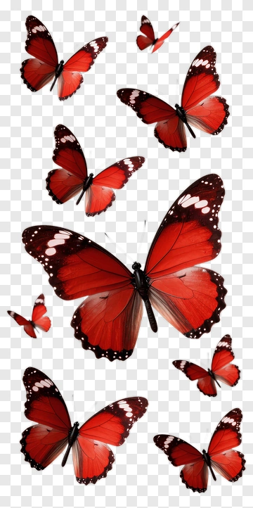 Red Butterflies In Flight PNG