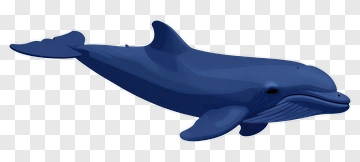 3D Blue Dolphin Swimming PNG