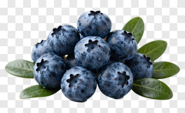 Fresh Blueberries With Green Leaves PNG