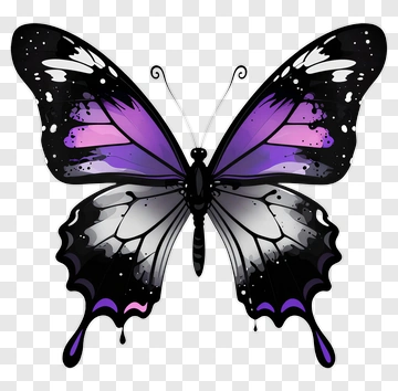 Colorful Butterfly With Purple And Black Patterns PNG