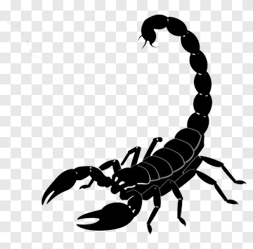 Black Scorpion PNG