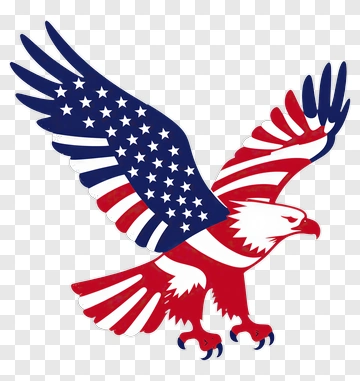 Eagle With American Flag Design PNG