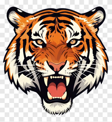 Angry Tiger Head Illustration PNG