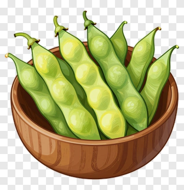 Colorful Bowl Of Edamame PNG