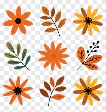 Colorful Floral Pattern With Leaves And Flowers PNG