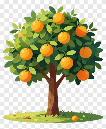 Colorful Orange Tree PNG