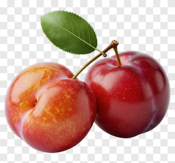Red Plums With Leaf PNG