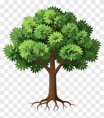 Colorful Tree PNG