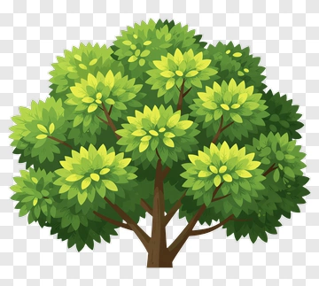 Colorful Tree PNG