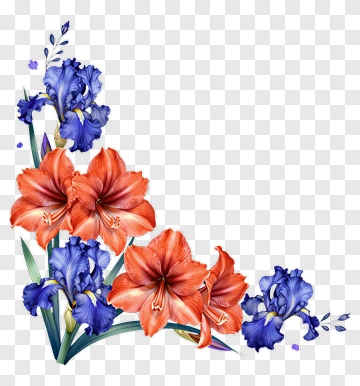 Colorful Floral Arrangement With Irises And Amaryllis PNG