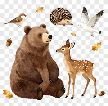 Cartoon Forest Animals Including Bear, Deer, And Hedgehog PNG