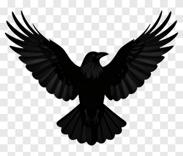 Black Raven With Outstretched Wings PNG