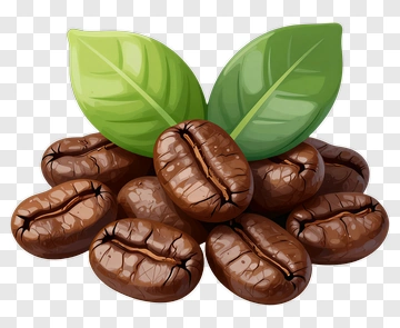Coffee Beans With Green Leaves PNG
