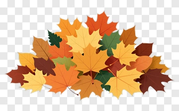 Colorful Autumn Leaves PNG