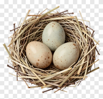 Nest With Three Eggs PNG